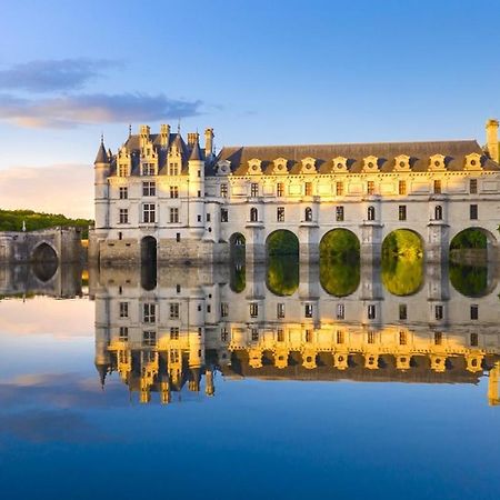 Villa Amboise - L'Ecrin De Leonard Exterior foto